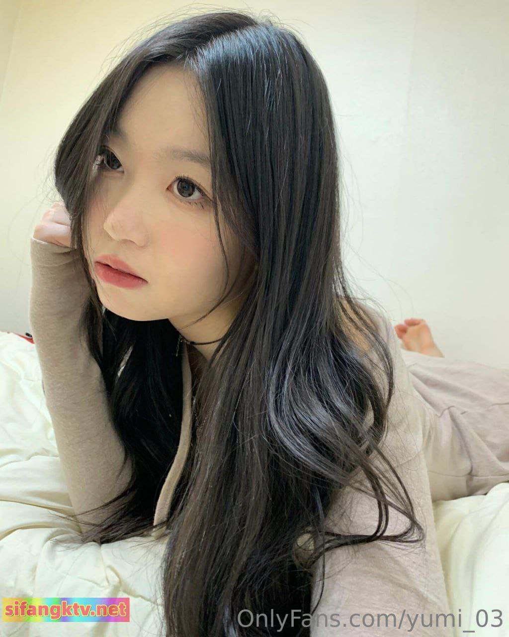 欧美风情亚洲精品,アジアポルノ、ゾーン1とゾーン2